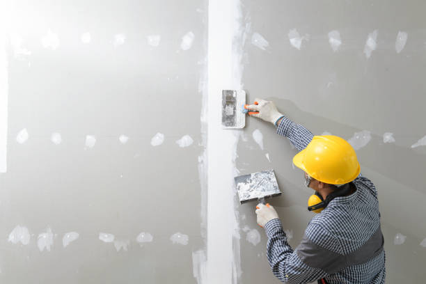 Best Comprehensive Air Testing for Mold Contaminants  in Fairlawn, OH